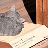 夏目家の猫のこと