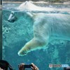 PAKU！は人気者^^