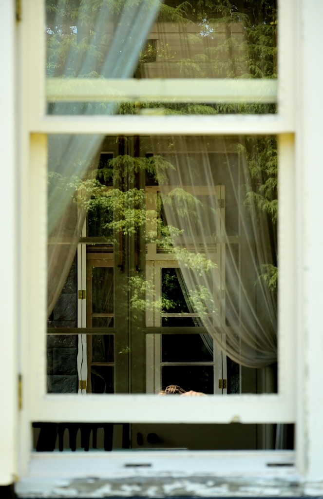 白いWindows