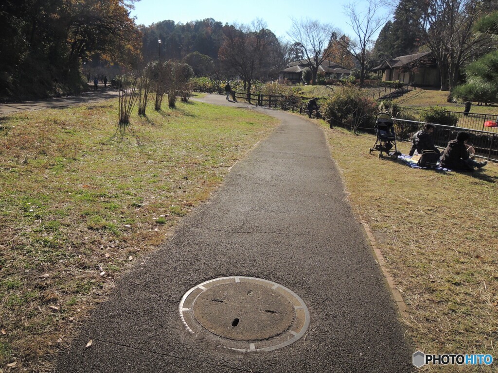 公園の中のマンホール