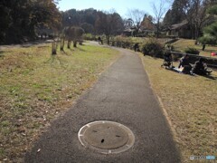 公園の中のマンホール