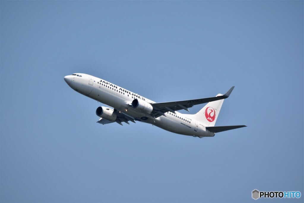 737-800 JAL