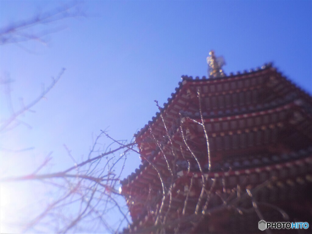 陽