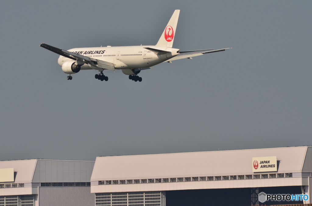 Japan　AIRLINES