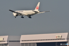 Japan　AIRLINES