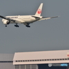 Japan　AIRLINES