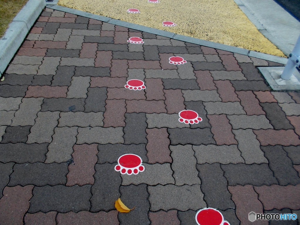 怪獣(子供の)足跡・・・