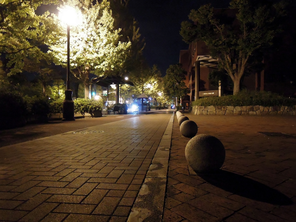 帰路