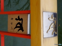 きゃー