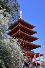 春の五重塔