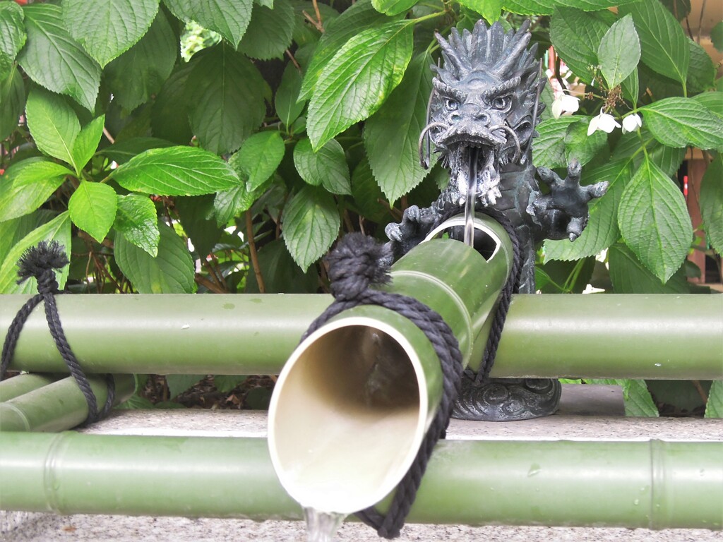 手水舎の龍