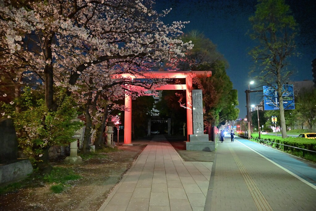 さくらと鳥居