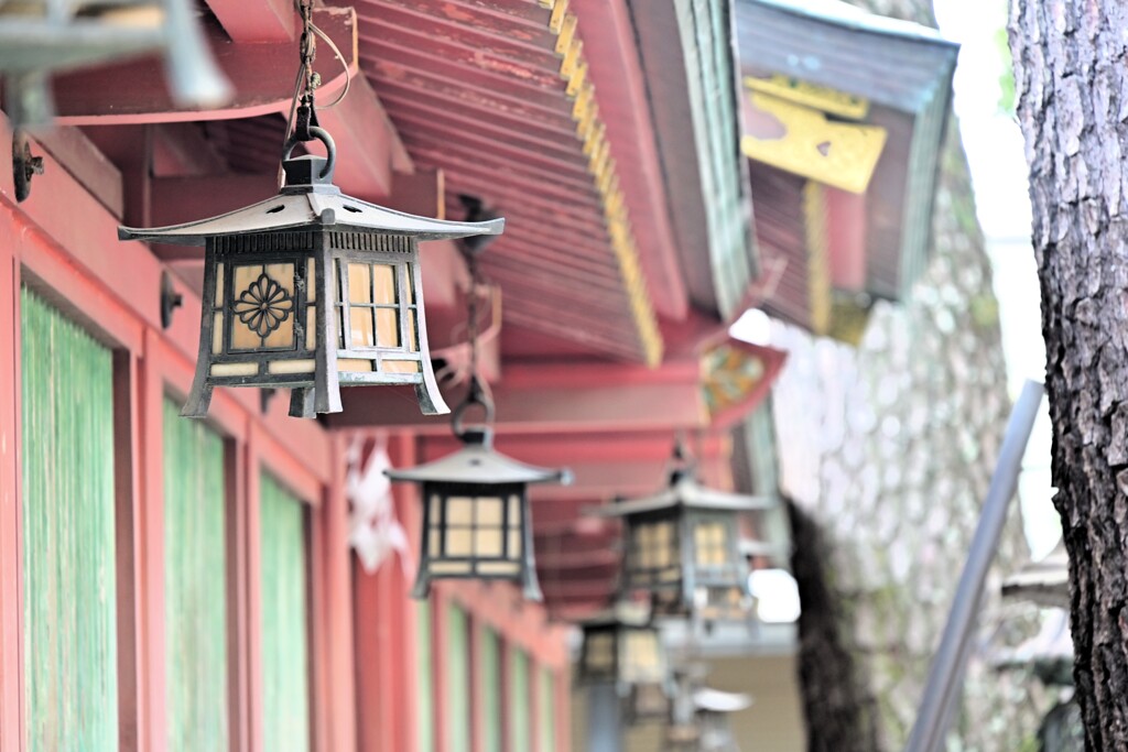 長田さんの裏側