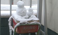 だれか目を入れてくれ～。