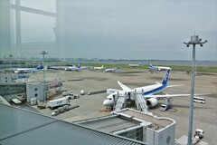 羽田空港を・・・撮ろうよ！