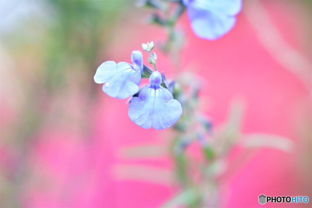 Autumn・・・
