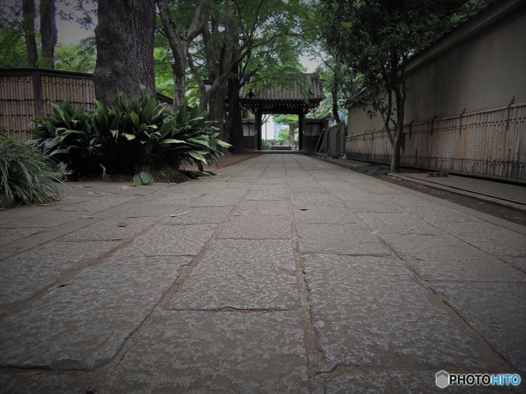参道・・・