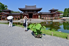 人気の平等院