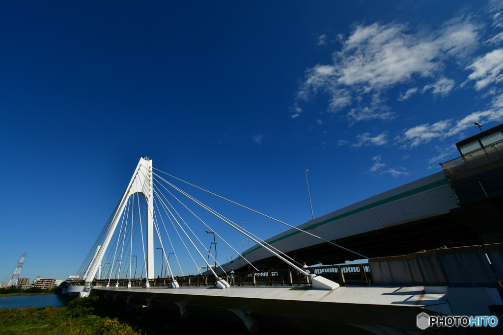 蒼い空と斜張橋