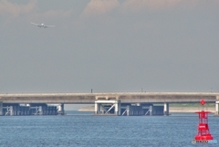In the D runway