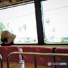 車窓・・・