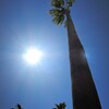 SUNNY ROCKET