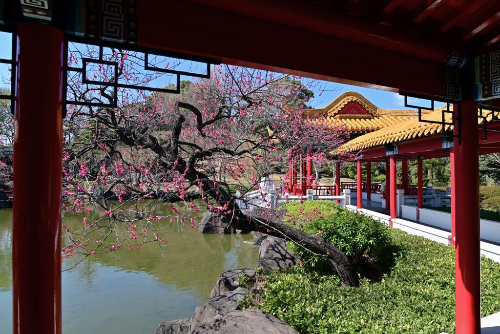 In spring