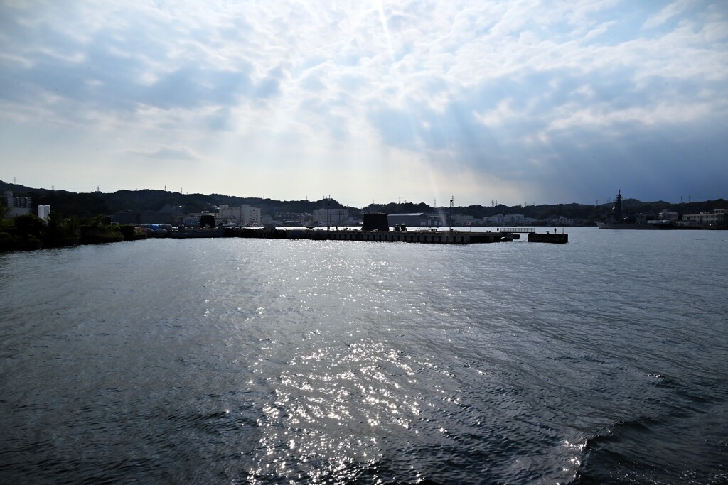日の光を浴びて