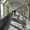 海上回遊式遊歩道