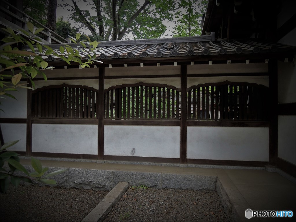ふぃるむ調で・・・