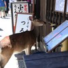 ぼくも客だよ！