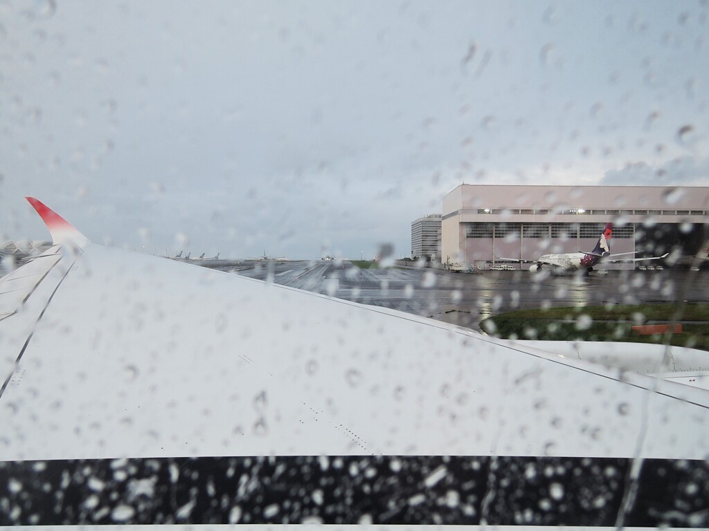 雨の御堂筋・・・へ、