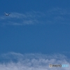 on the sky