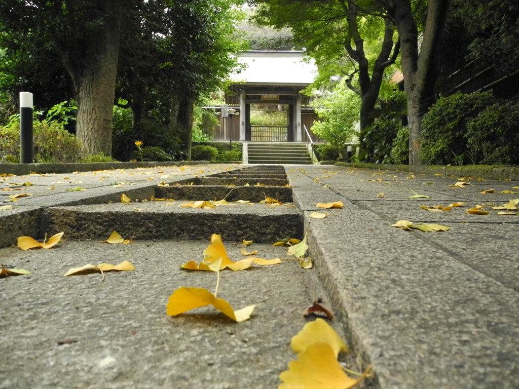 おうたむ
