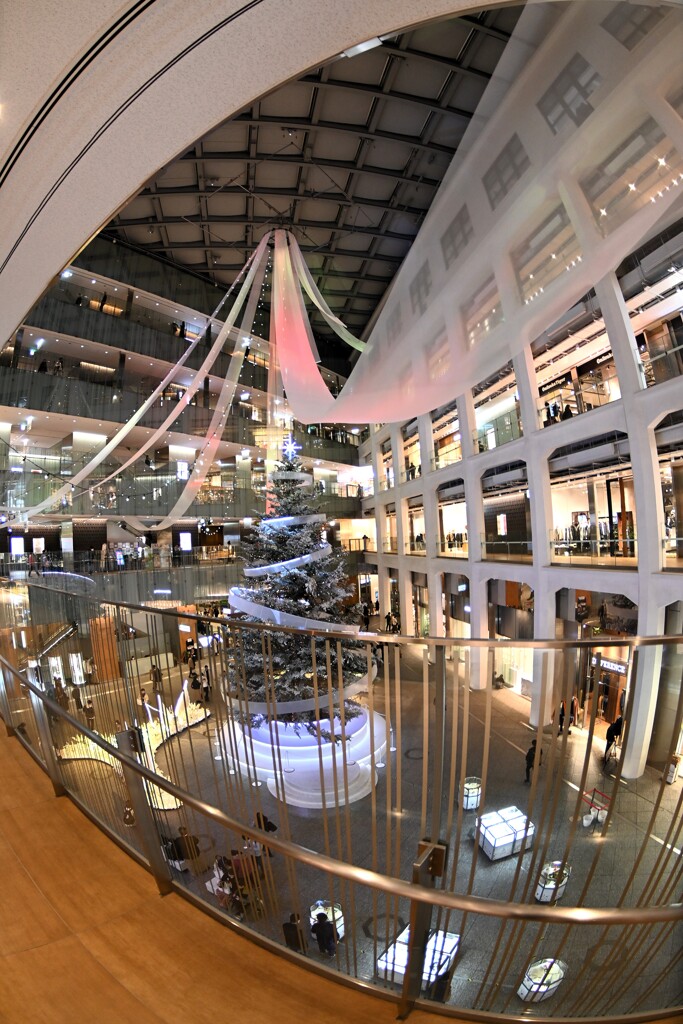 クリスマス