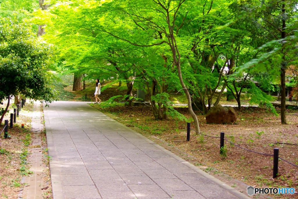 とある風景