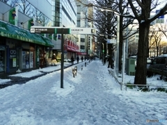 ゆきぐにかわさき・・・その四