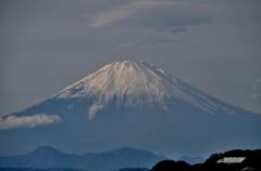 ”Today's Fuji”