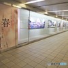 そうだ！・・・春