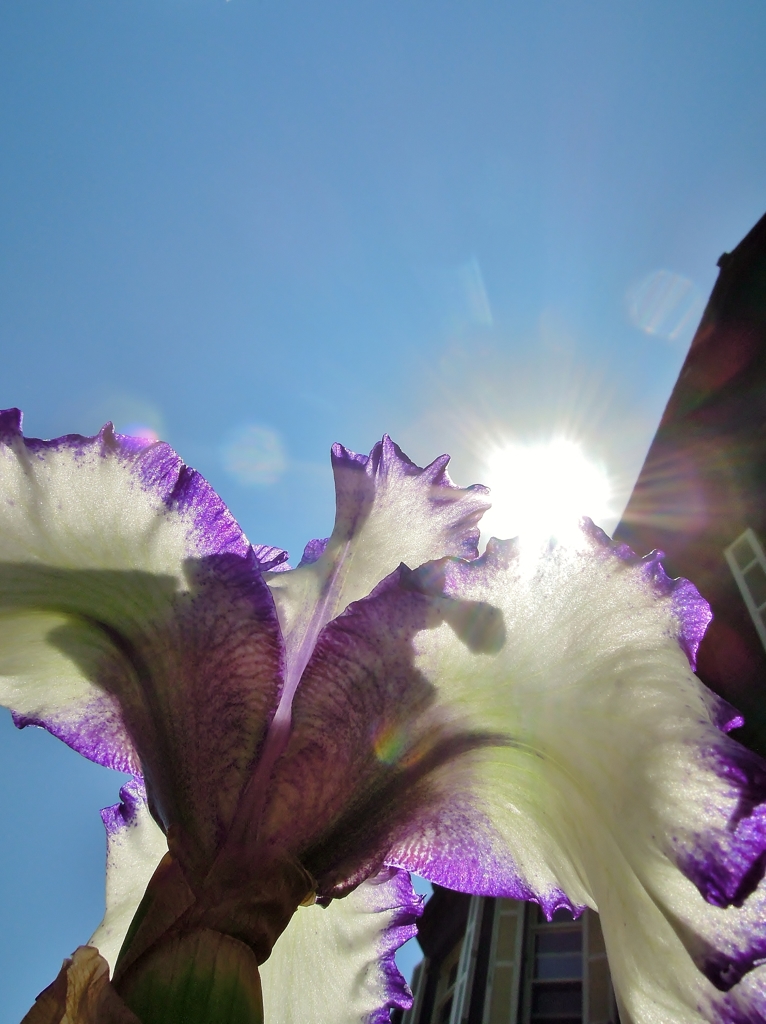 年下の男の子の写真