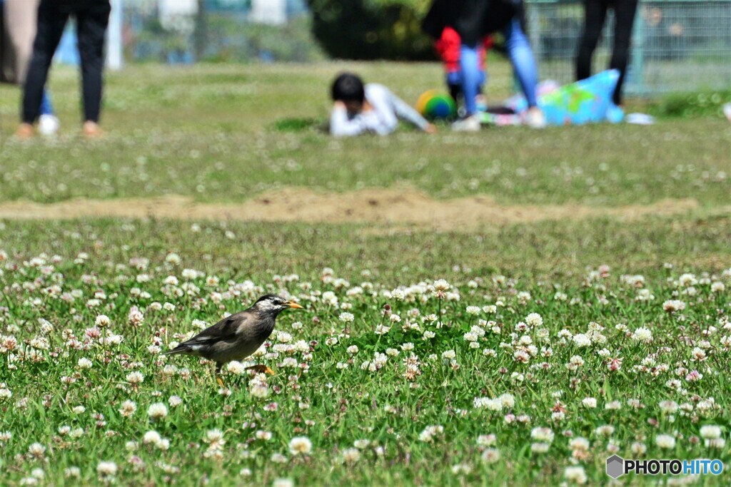 海浜公園・・・寝転がる