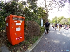 東御苑内の郵便ポスト