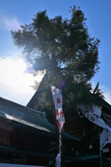 神社の裏側