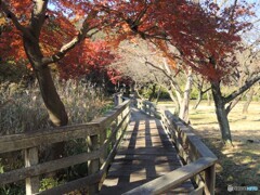 遊歩道