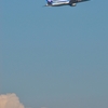 飛翔する787