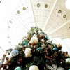 "Tree of wisdom"