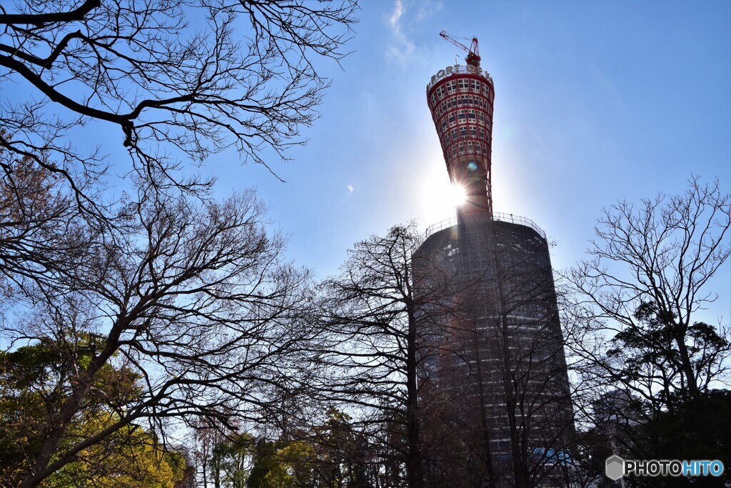 逆光のポートタワー