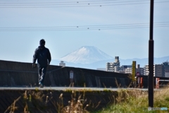 今日の富士山