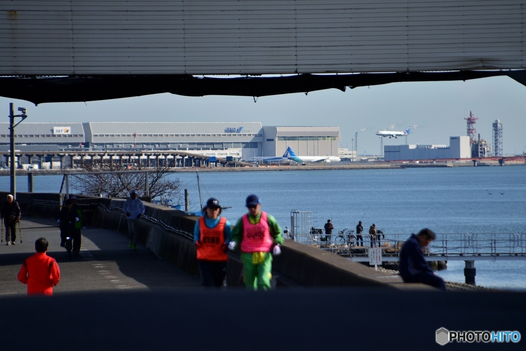 向こうは羽田空港C滑走路