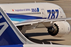 ANA-787